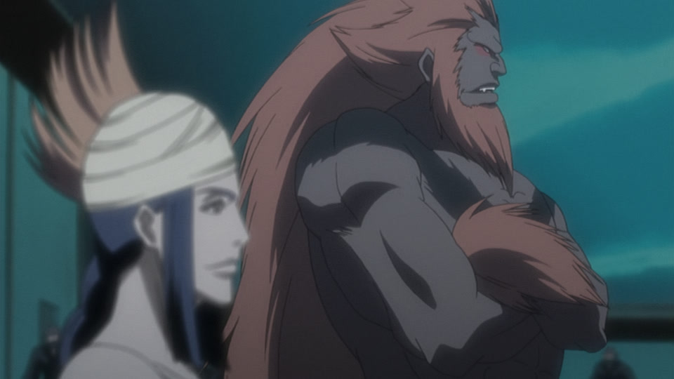 Bleach Ep 242: Shinigami and Zanpakuto, Total Sortie @ 00:03:48