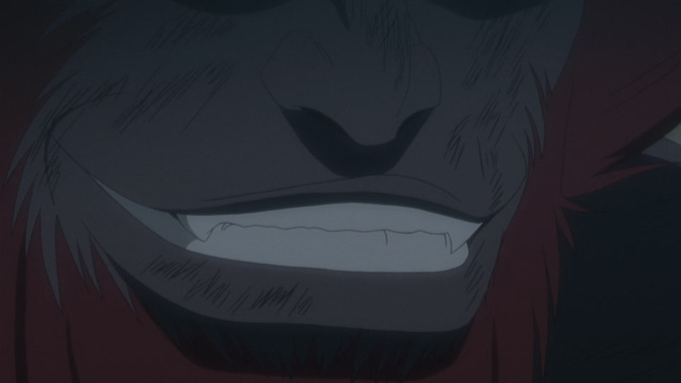 Bleach Ep 242: Shinigami and Zanpakuto, Total Sortie @ 00:20:41