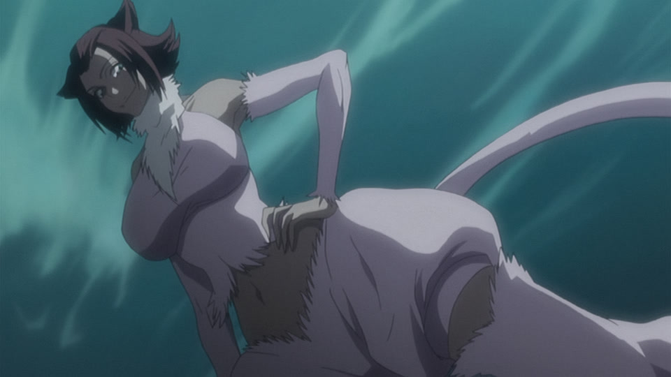 Bleach Ep 243: One-to-One Fight! Ichigo vs. Senbonzakura @ 00:04:45