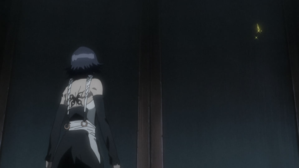 Bleach Ep 245: Pursue Byakuya! The Confused Gotei Divisions @ 00:06:55