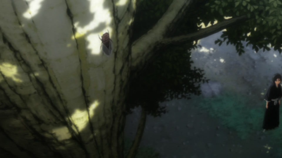 Bleach Ep 245: Pursue Byakuya! The Confused Gotei Divisions @ 00:22:19
