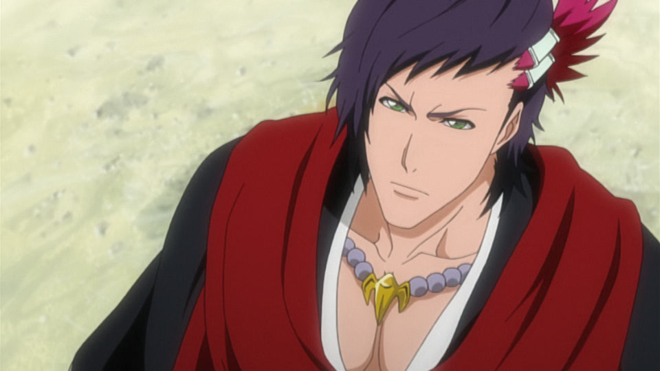 Bleach Ep 250: That Man, for the Sake of the Kuchiki @ 00:08:24