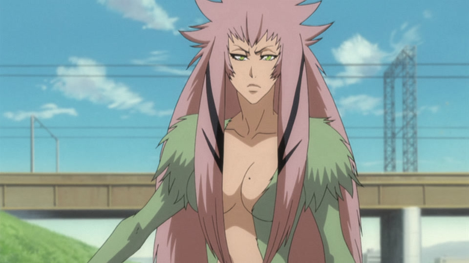Bleach Ep 258: Stray Snake, Tortured Monkey @ 00:02:22