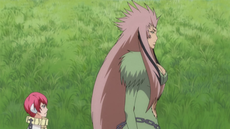 Bleach Ep 258: Stray Snake, Tortured Monkey @ 00:02:41