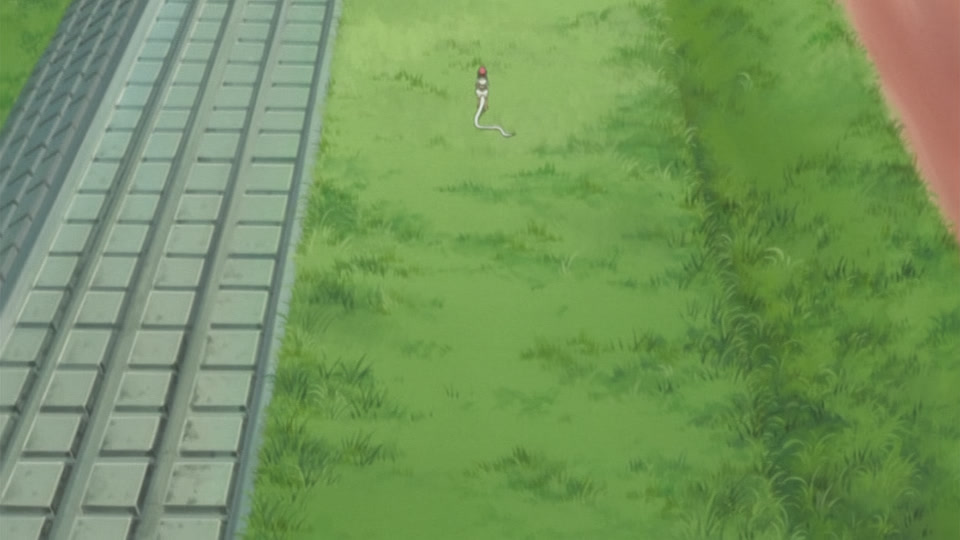 Bleach Ep 258: Stray Snake, Tortured Monkey @ 00:04:02
