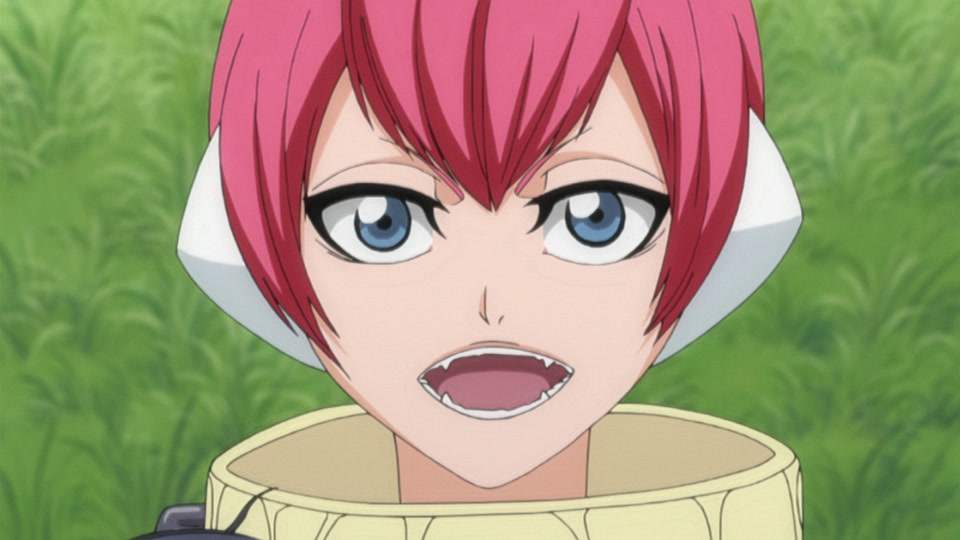 Bleach Ep 258: Stray Snake, Tortured Monkey @ 00:04:11
