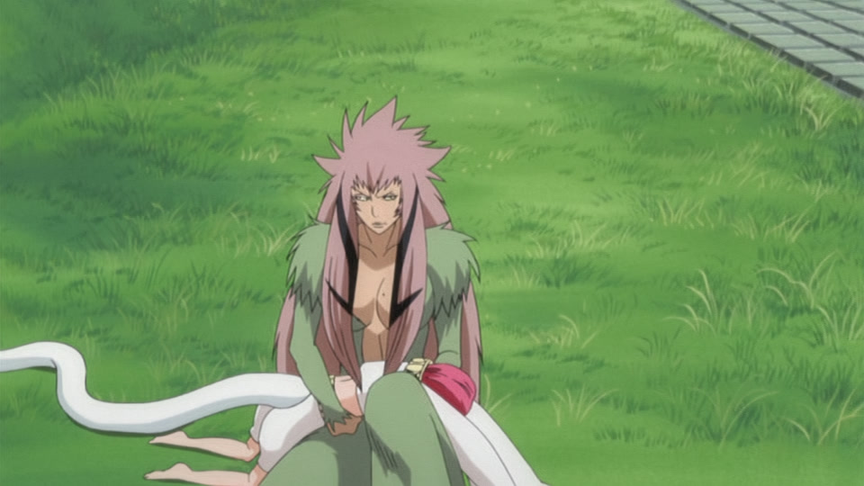 Bleach Ep 258: Stray Snake, Tortured Monkey @ 00:04:26