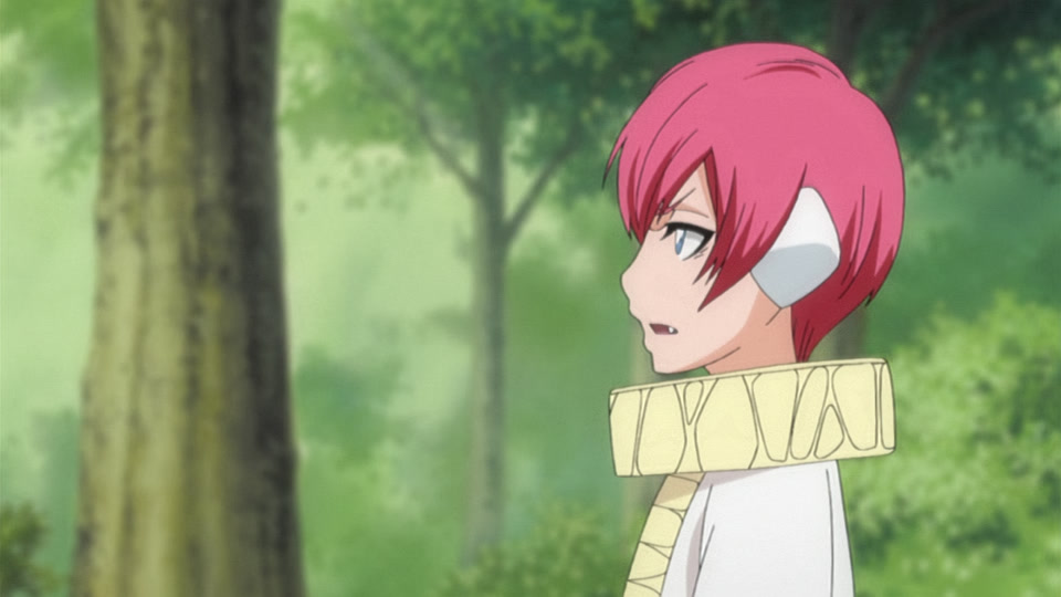 Bleach Ep 258: Stray Snake, Tortured Monkey @ 00:04:54