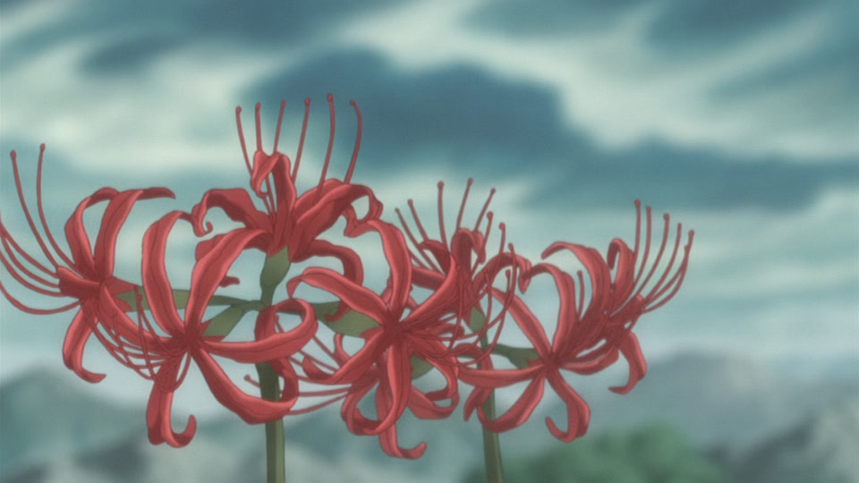 Bleach Ep 262: Haineko Cries! The Tragic Sword Beast! @ 00:02:31
