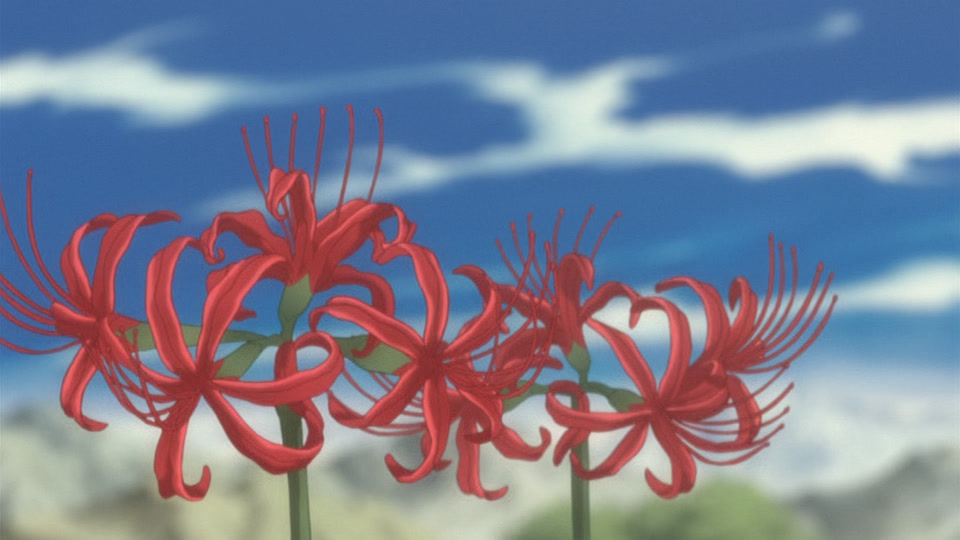 Bleach Ep 262: Haineko Cries! The Tragic Sword Beast! @ 00:15:13