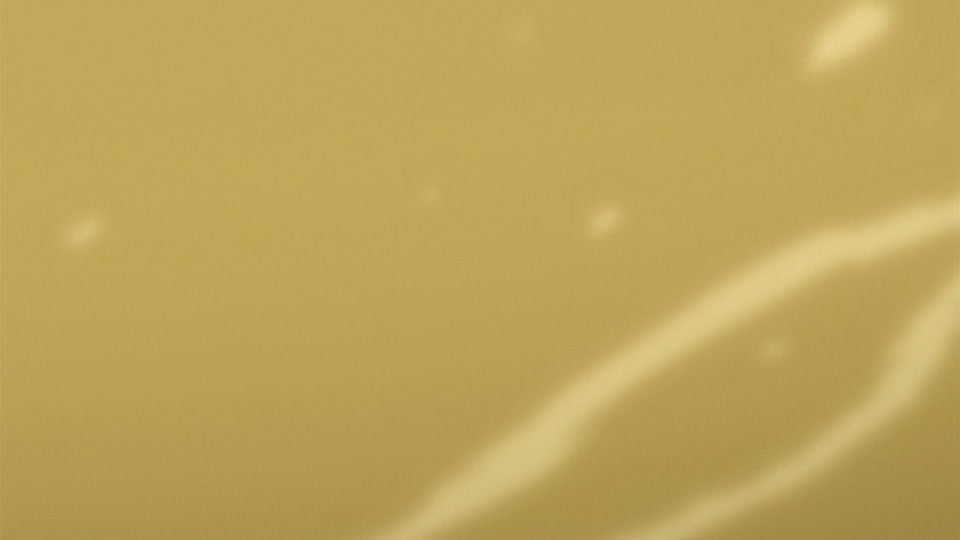 Bleach Ep 263: Imprisonment?! Senbonzakura & Zabimaru @ 00:03:09