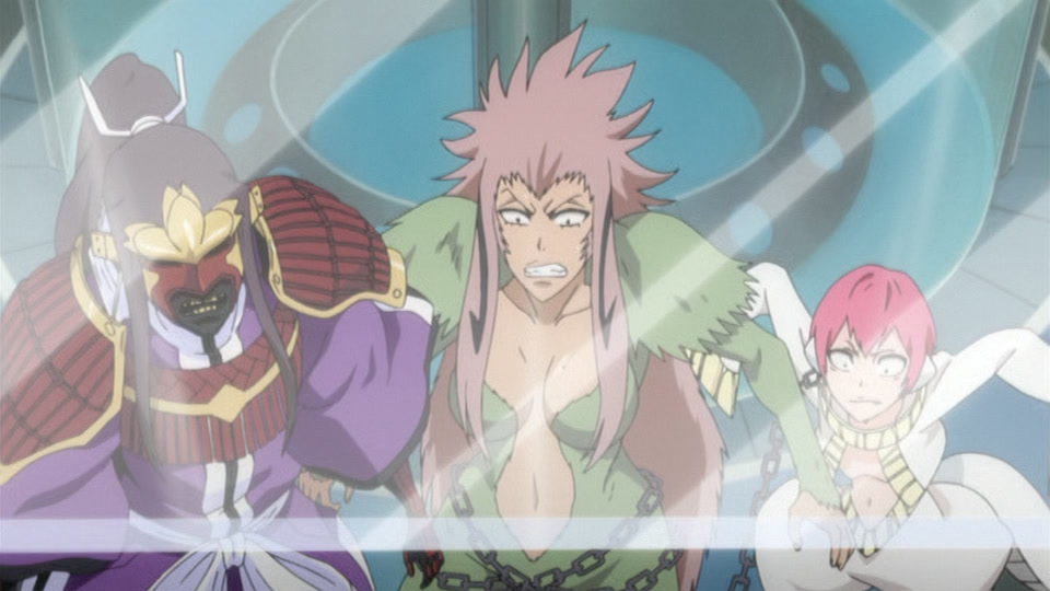 Bleach Ep 263: Imprisonment?! Senbonzakura & Zabimaru @ 00:09:02