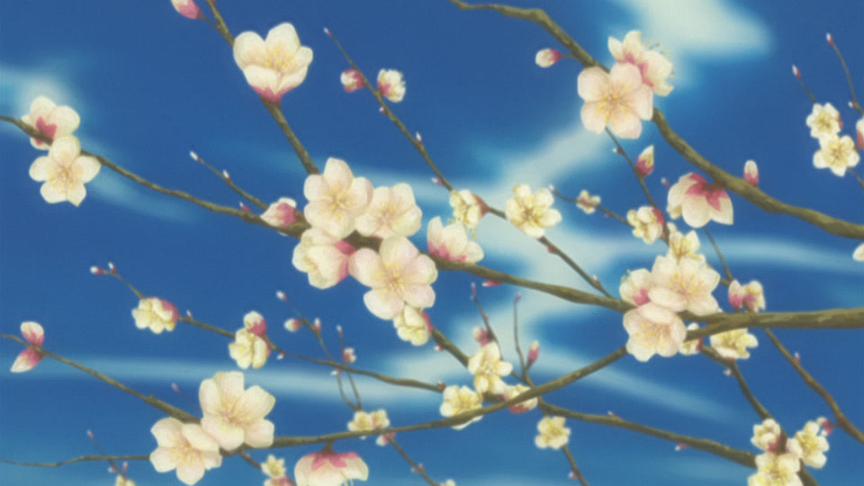 Bleach Ep 264: Battle of the Females? Katen Kyokotsu vs. Nanao! @ 00:02:46
