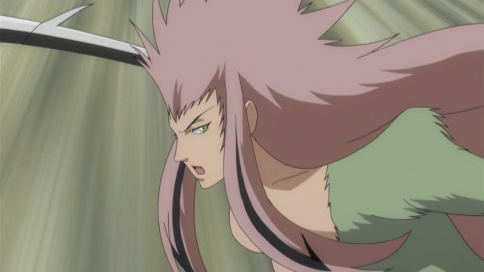 Bleach Ep 265: Evolution?! The Wonder of the Last Sword Beast @ 00:02:22