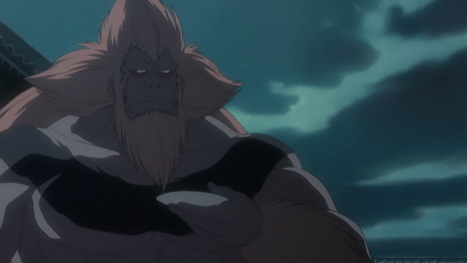 Bleach Ep 265: Evolution?! The Wonder of the Last Sword Beast @ 00:05:24