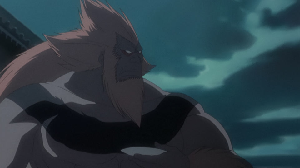 Bleach Ep 265: Evolution?! The Wonder of the Last Sword Beast @ 00:05:29