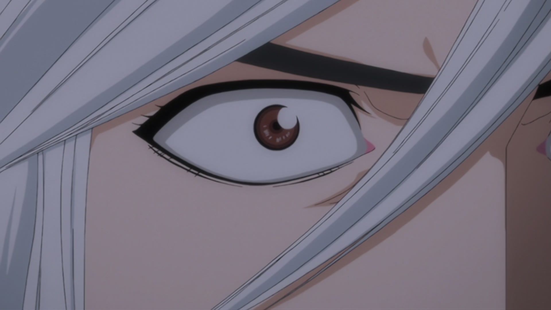 Bleach Ep 277: Climax! Kyoraku vs. Stark! @ 00:12:22
