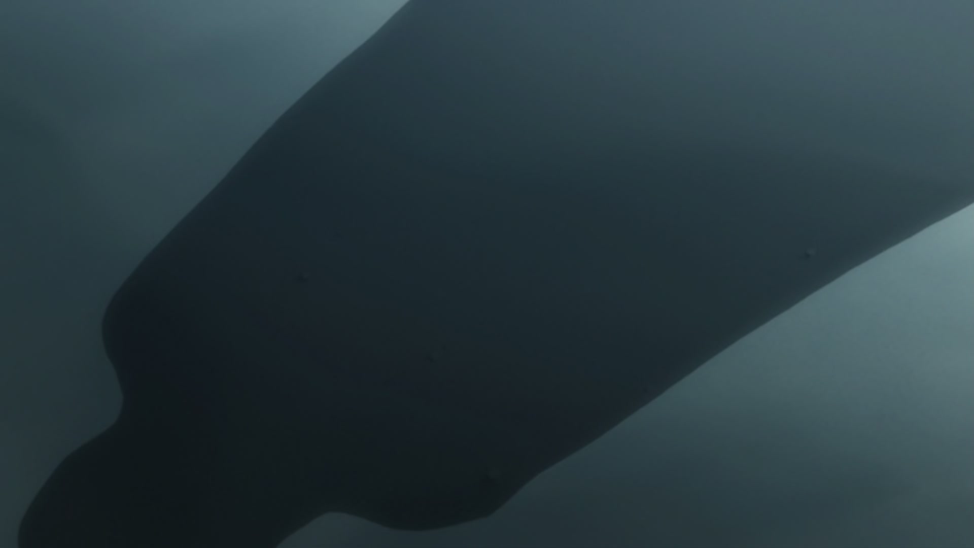 Bleach Ep 283: Stark, the Lone Battle @ 00:15:22