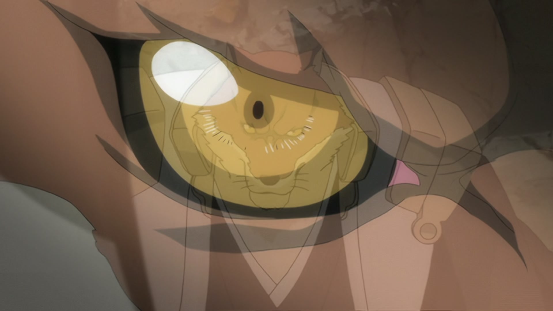 Bleach Ep 290: For the Sake of Justice?! The Man Who Deserted the Shinigami @ 00:06:39
