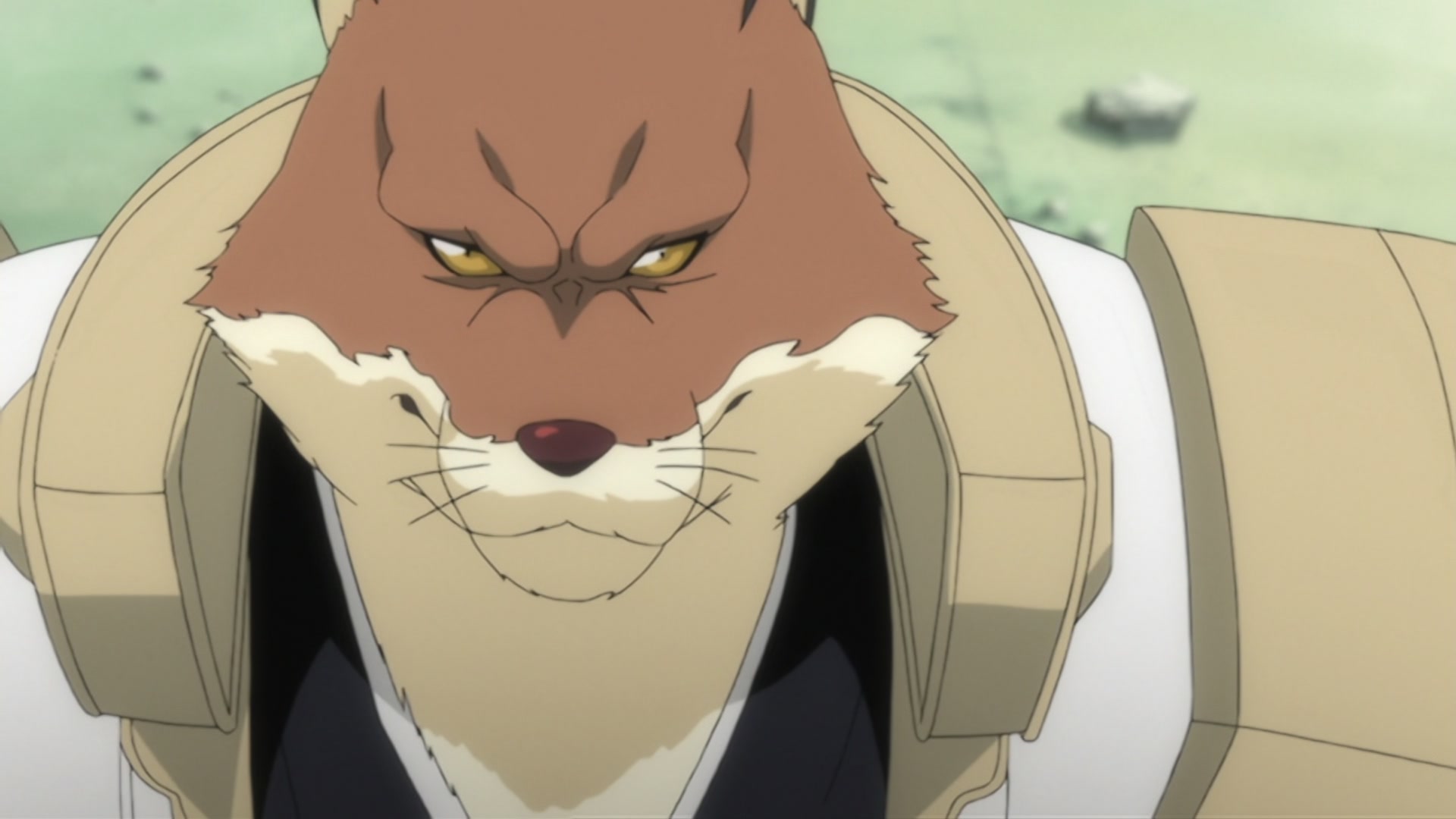 Bleach Ep 290: For the Sake of Justice?! The Man Who Deserted the Shinigami @ 00:10:03