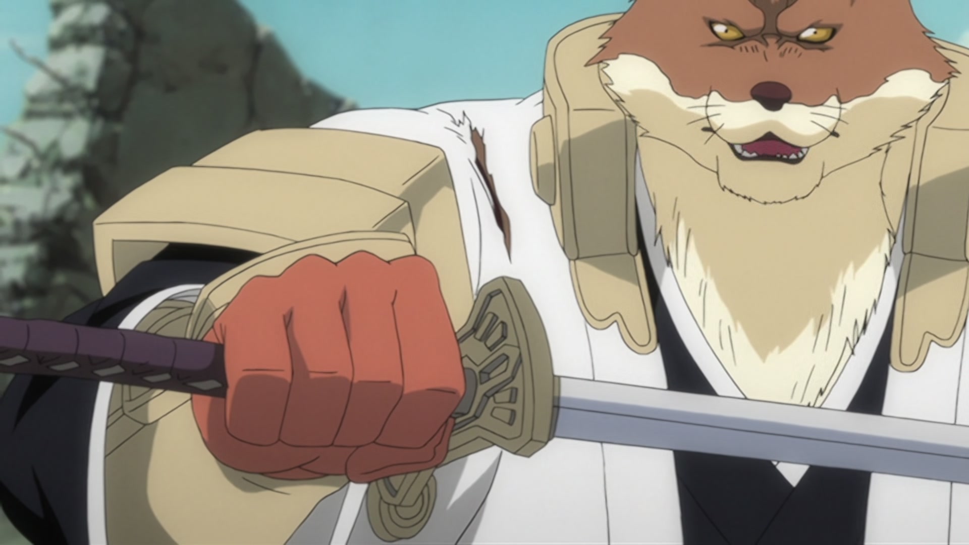 Bleach Ep 290: For the Sake of Justice?! The Man Who Deserted the Shinigami @ 00:18:51