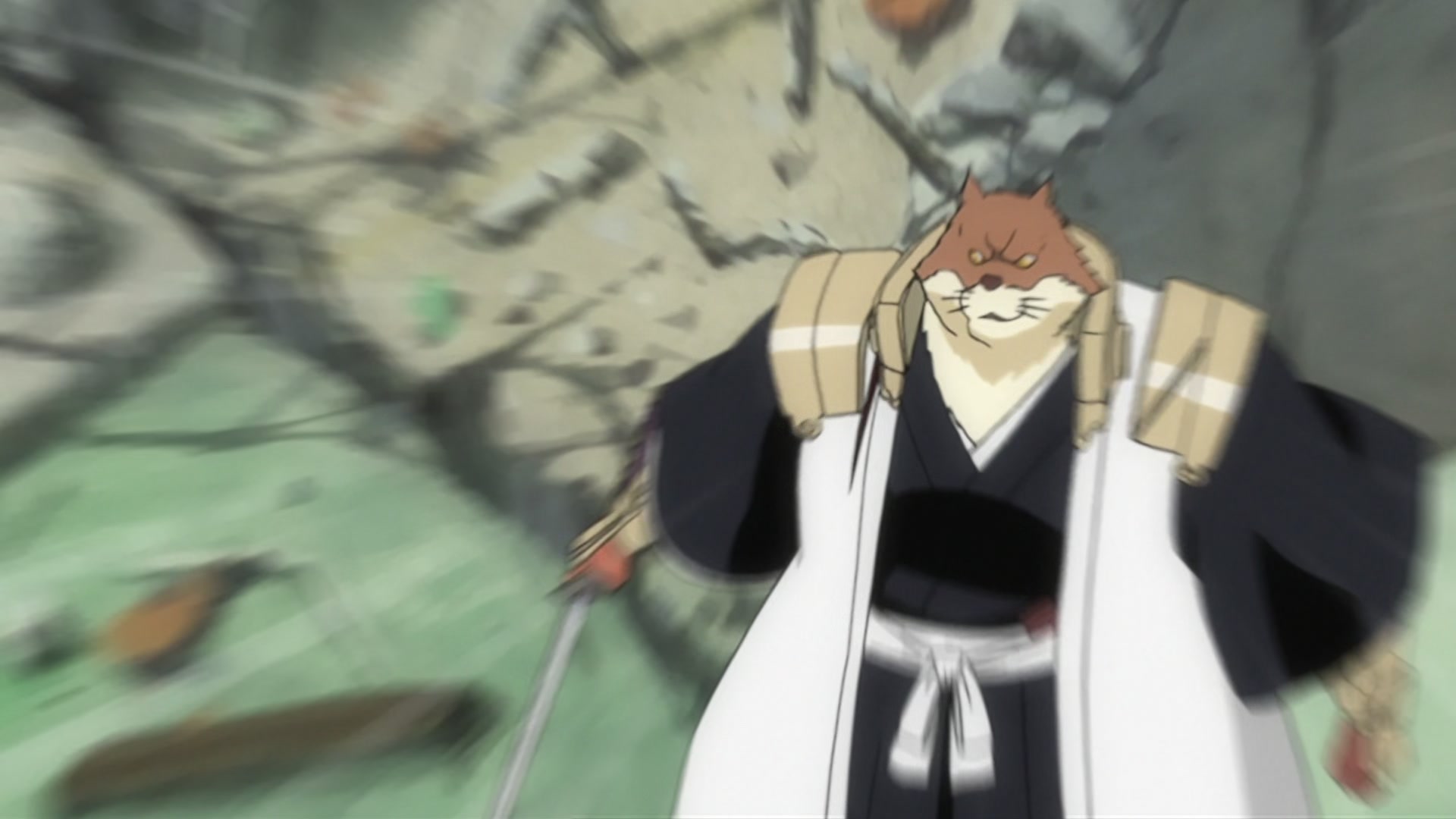 Bleach Ep 290: For the Sake of Justice?! The Man Who Deserted the Shinigami @ 00:21:47