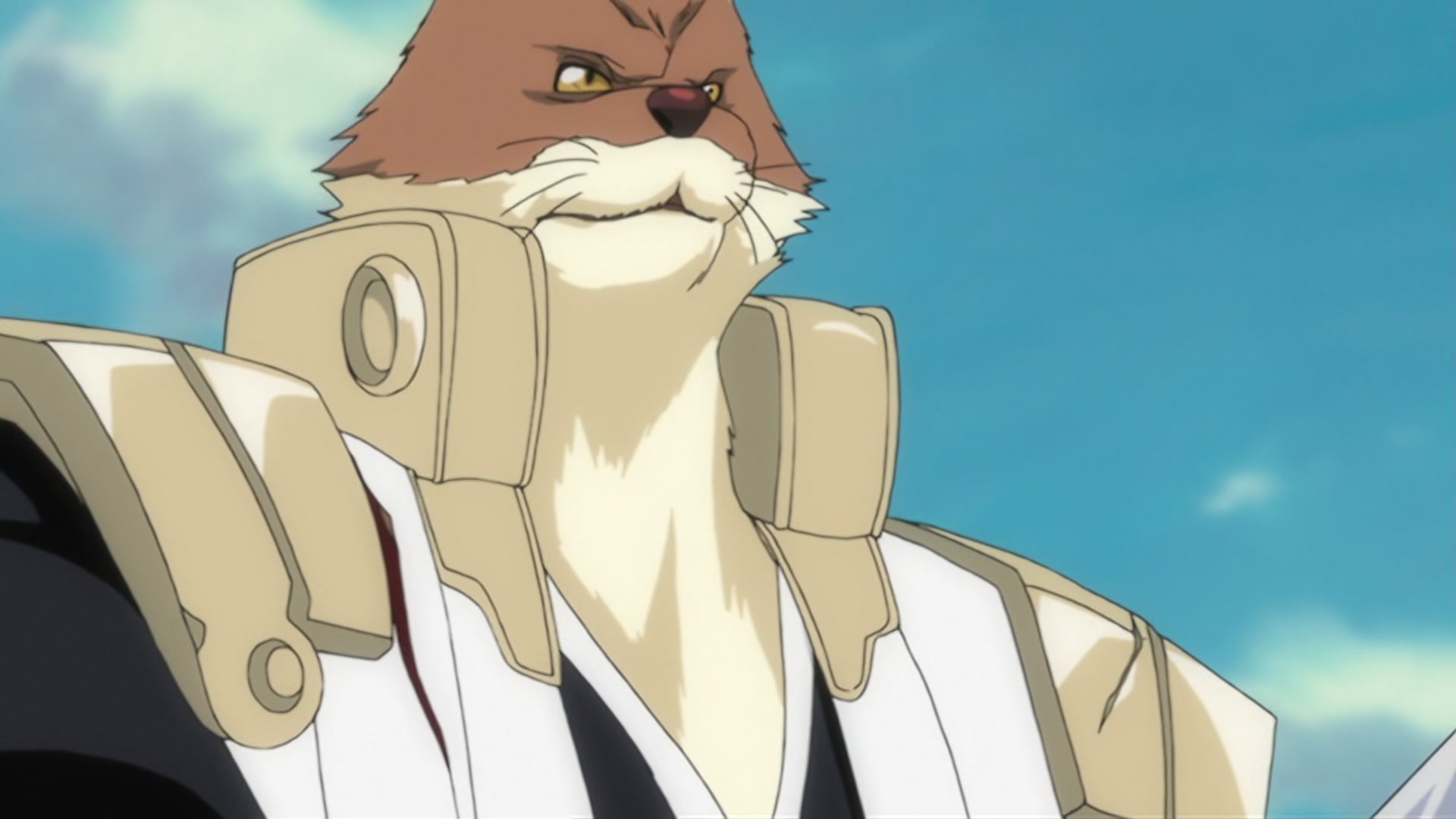 Bleach Ep 291: Desperate Struggle with Aizen! Hirako, Shikai! @ 00:06:39