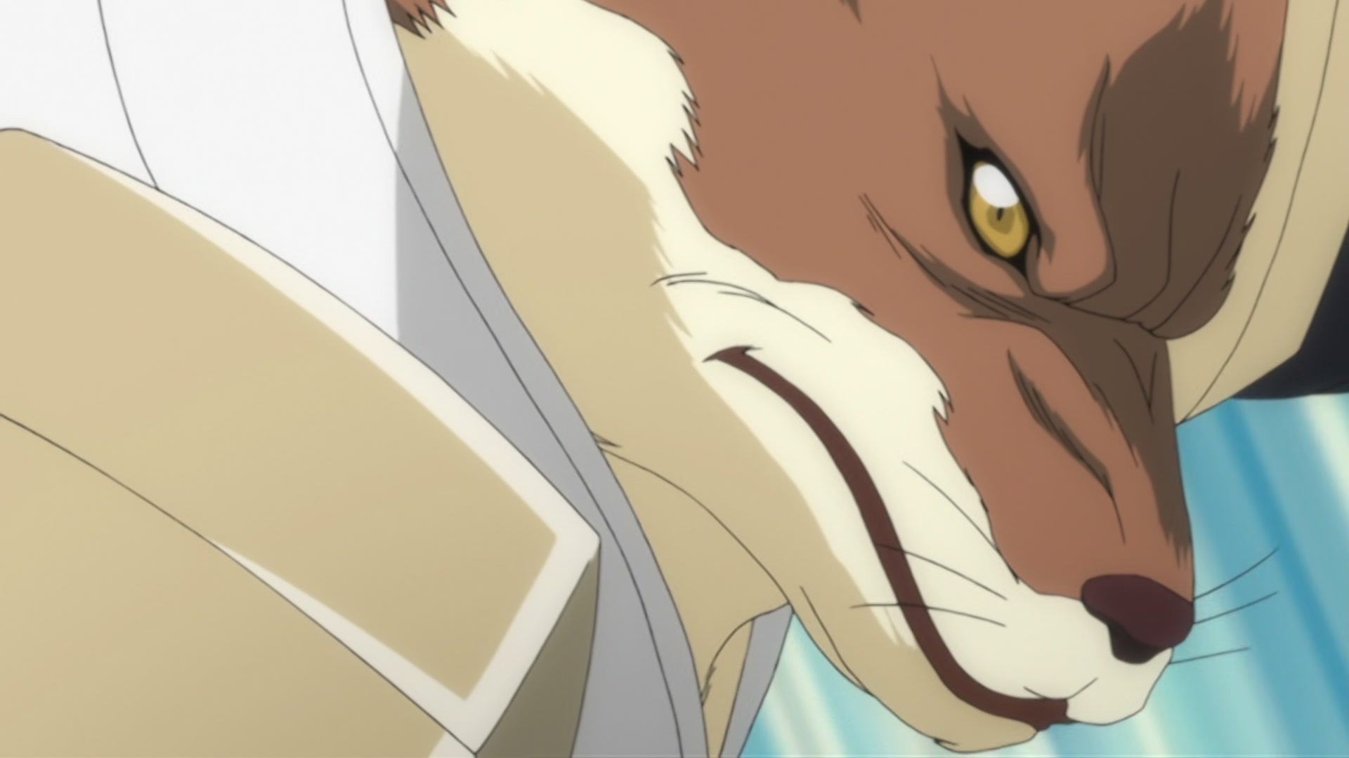 Bleach Ep 293: Hitsugaya, Enraged! The Blade of Hatred! @ 00:08:28
