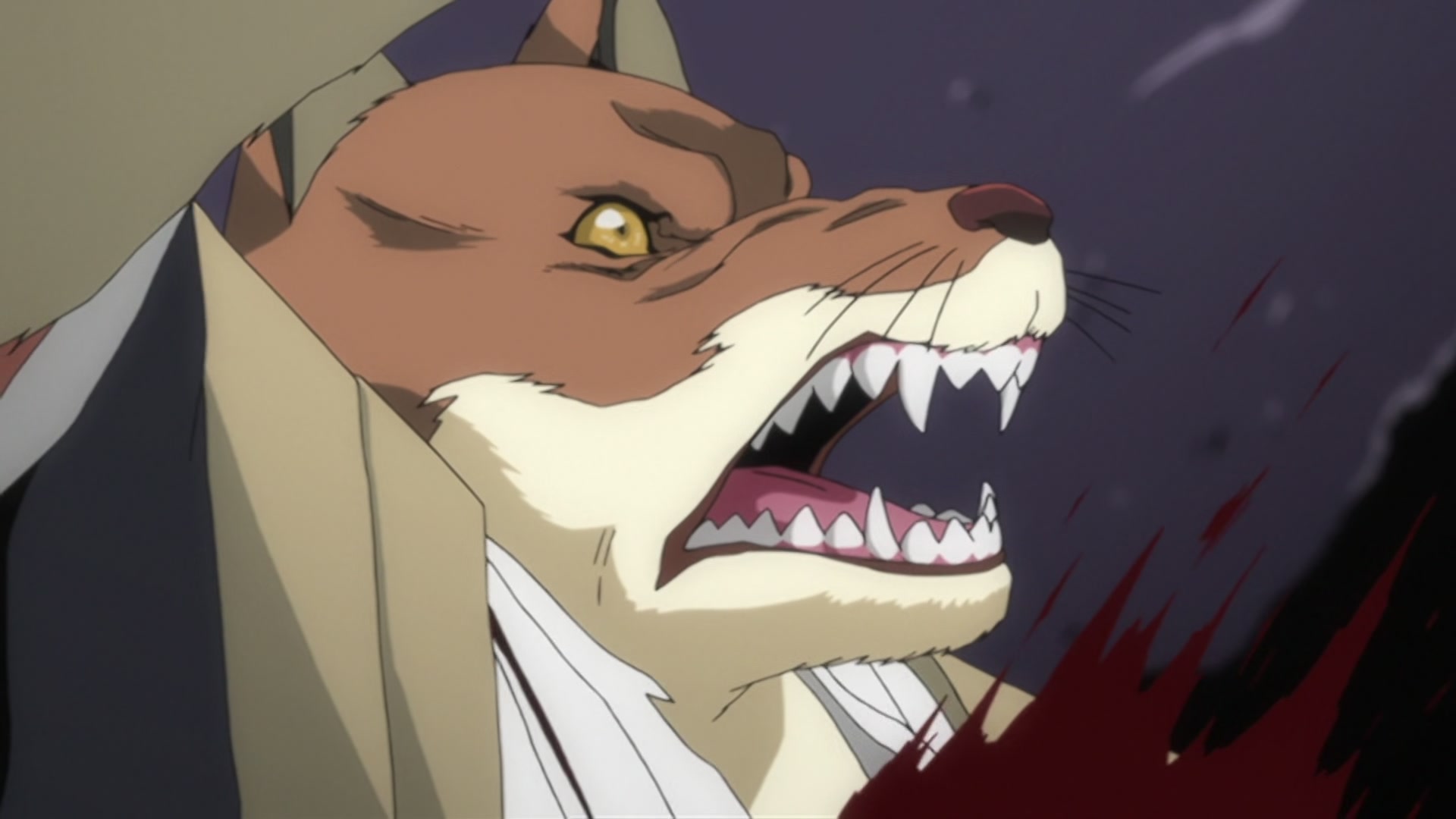Bleach Ep 293: Hitsugaya, Enraged! The Blade of Hatred! @ 00:11:01