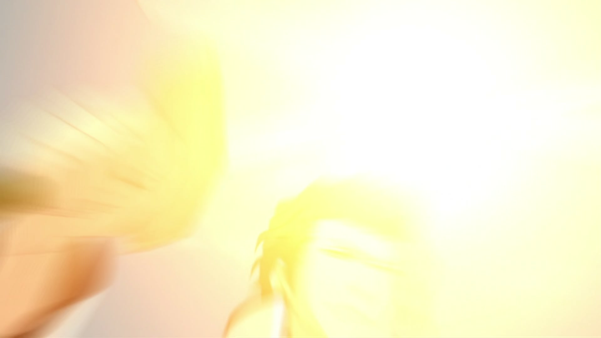 Bleach Ep 297: The Extending Blade?! Ichigo vs. Gin! @ 00:14:15