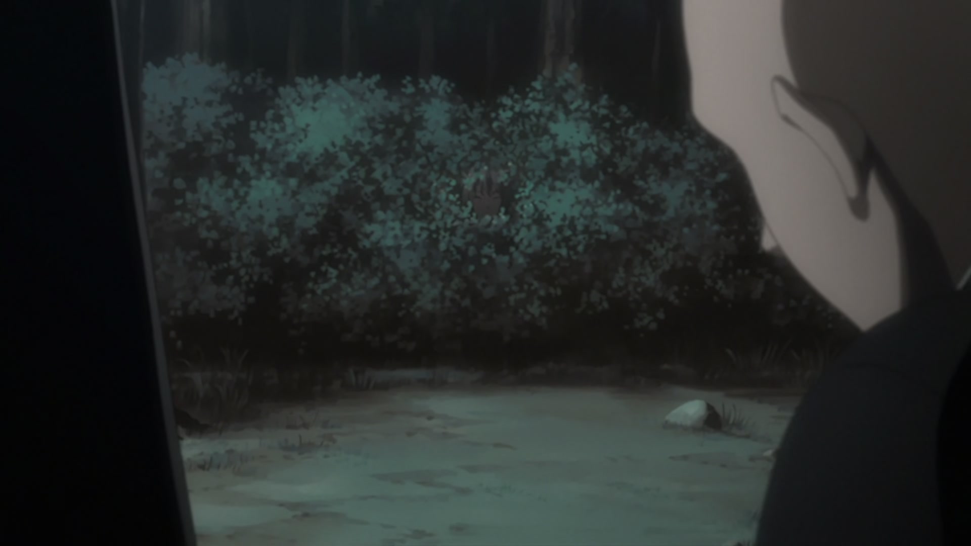 Bleach Ep 307: Emergency Situation! Aizen, New Evolution! @ 00:17:07