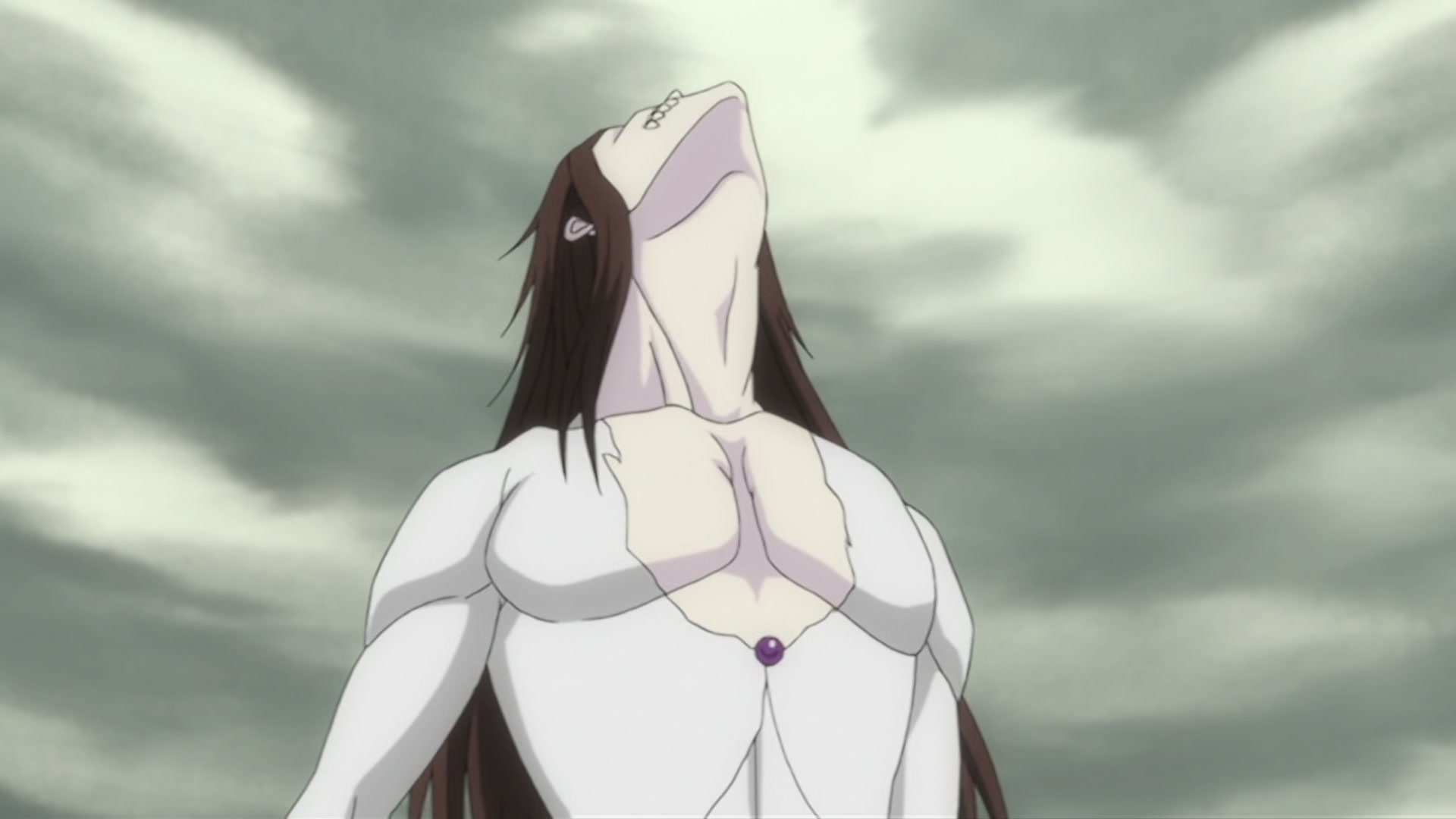 Bleach Ep 309: Fierce Fighting Conclusion! Release, the Final Getsuga Tensho! @ 00:16:14