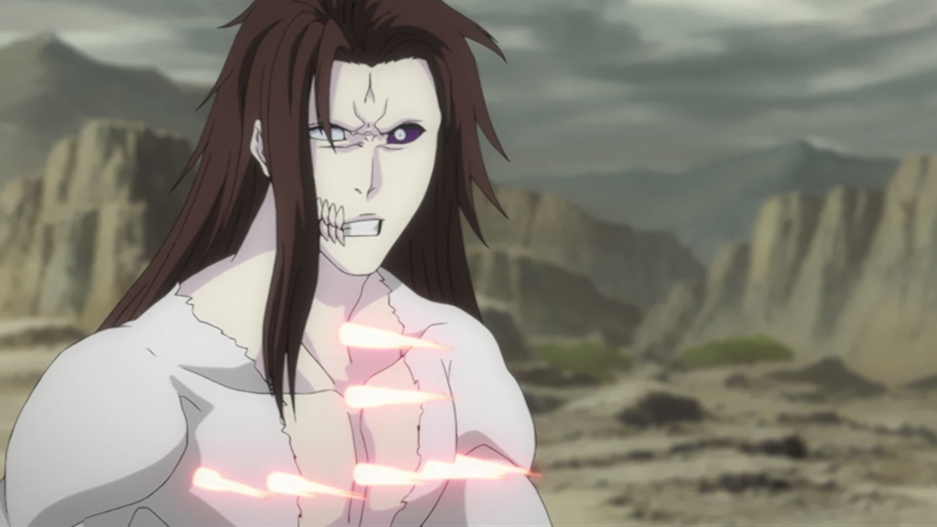 Bleach Ep 309: Fierce Fighting Conclusion! Release, the Final Getsuga Tensho! @ 00:17:11
