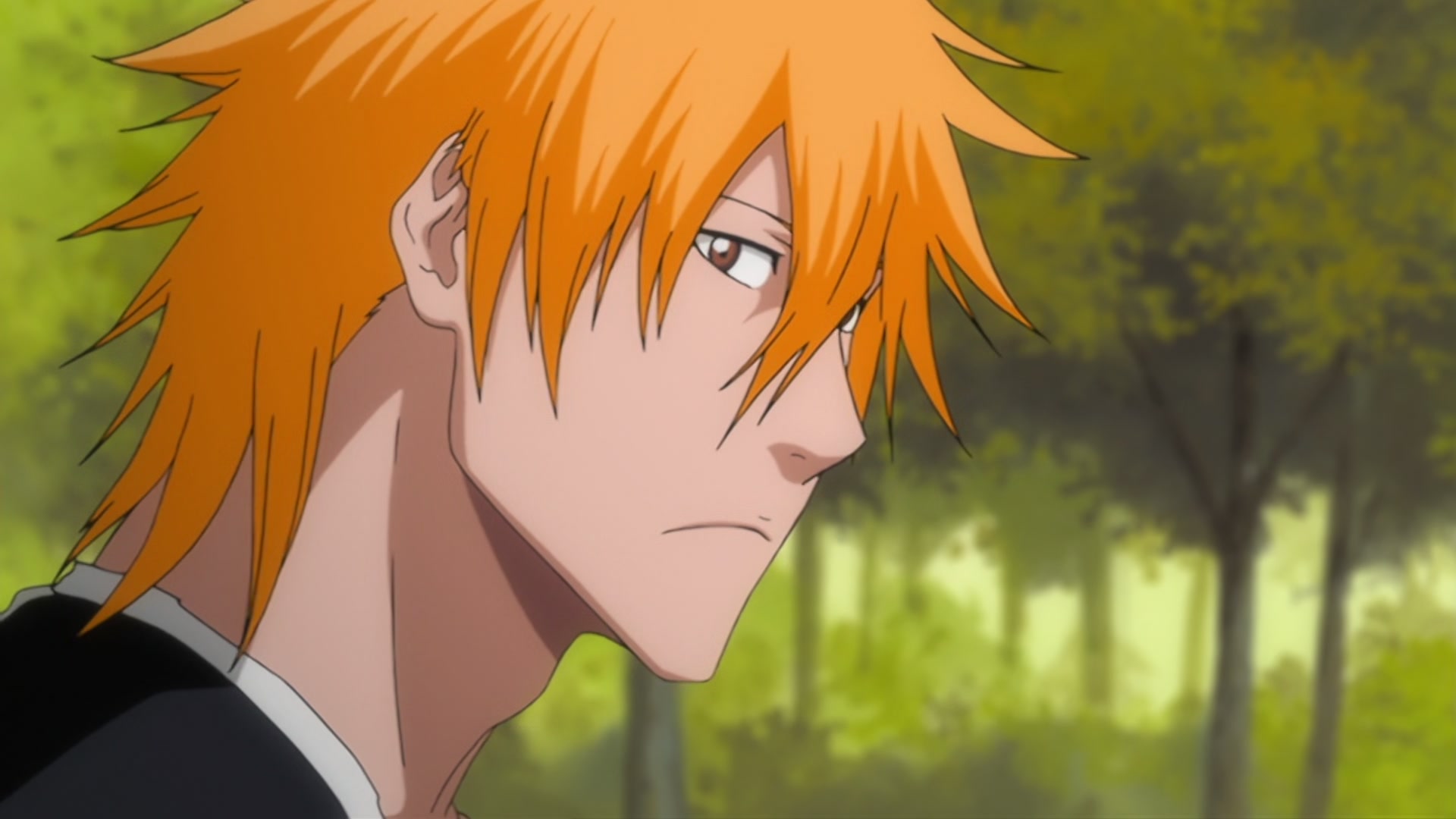 Bleach Ep 310: Ichigo's Resolution! The Price of the Fierce Battle @ 00:08:38