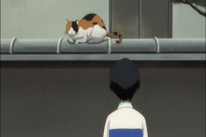 Bleach Ep 316: Hitsugaya Toshiro's Holiday! @ 00:14:10