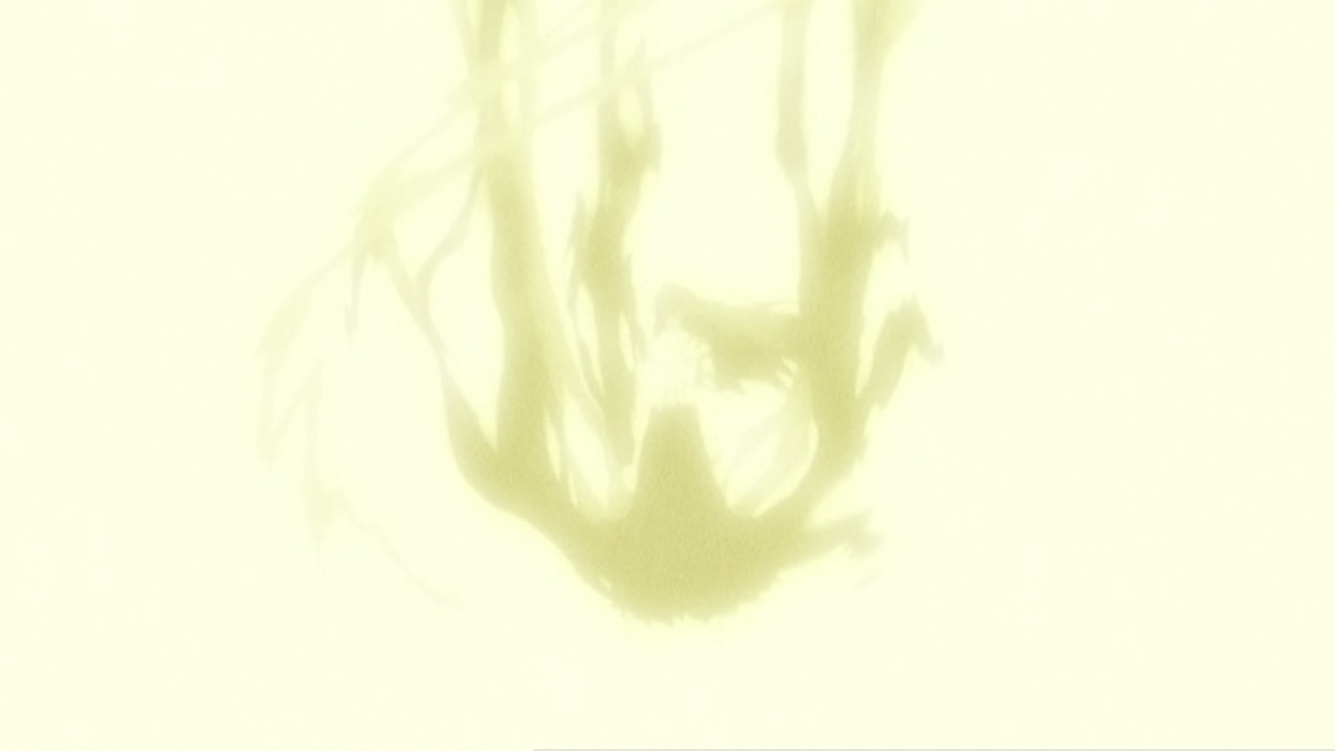 Bleach Ep 342: Thank You @ 00:07:45