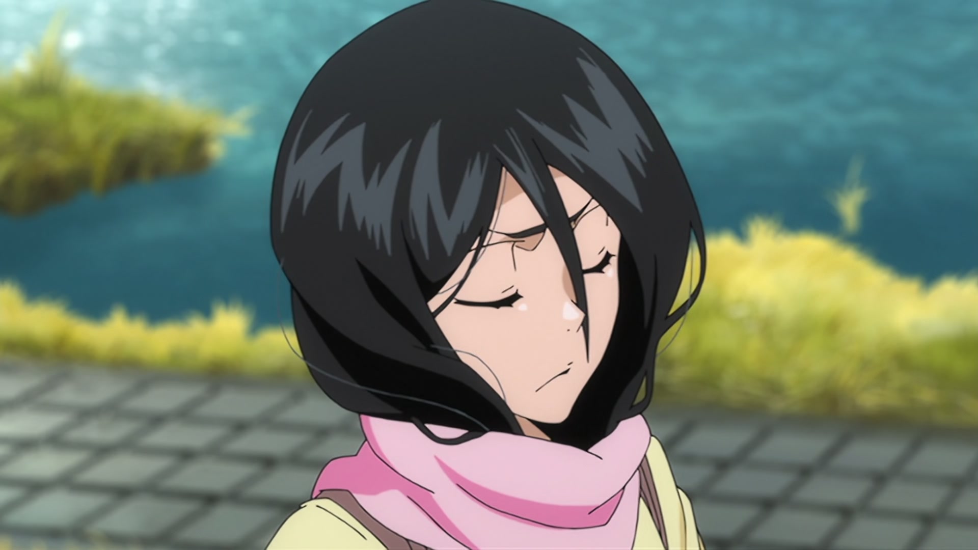 Bleach Ep 342: Thank You @ 00:09:44