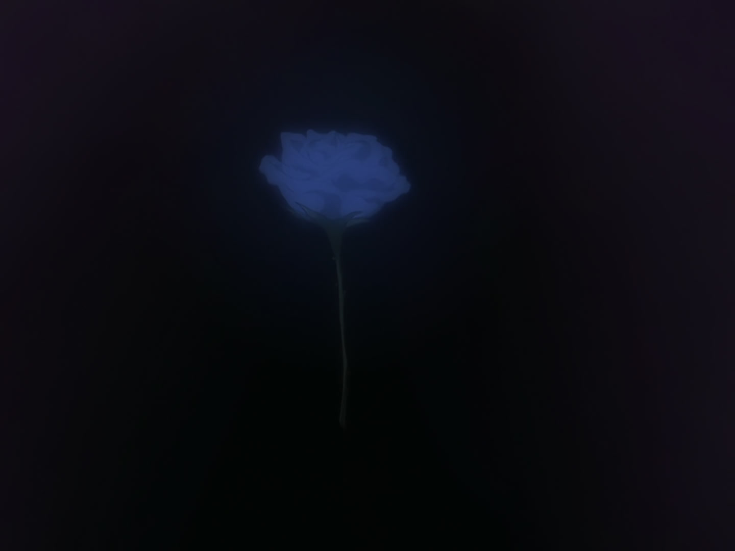 Blood+ Ep 10: I Want to See You @ 16:24