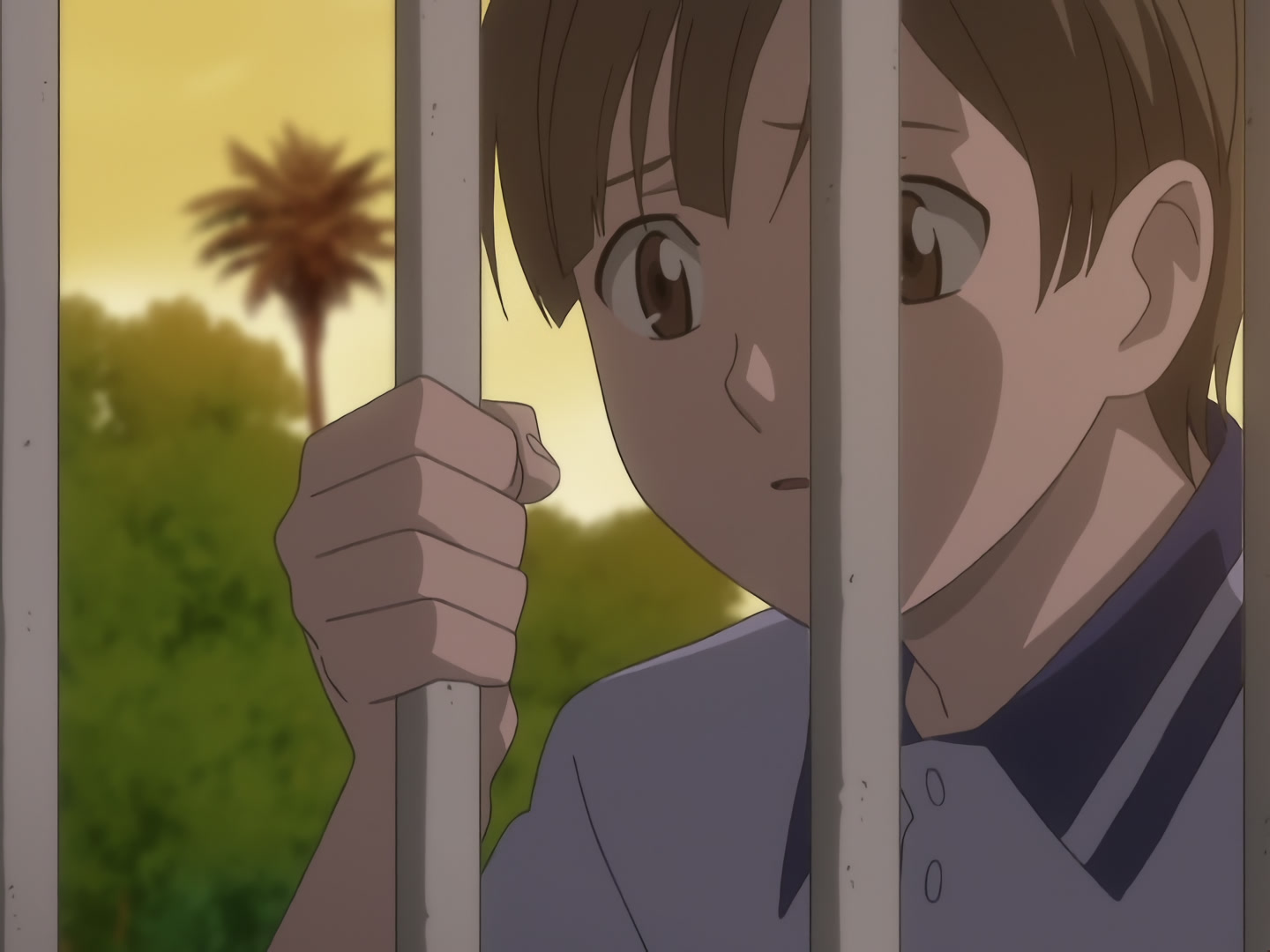 Blood+ Ep 13: Jungle Paradise @ 19:13