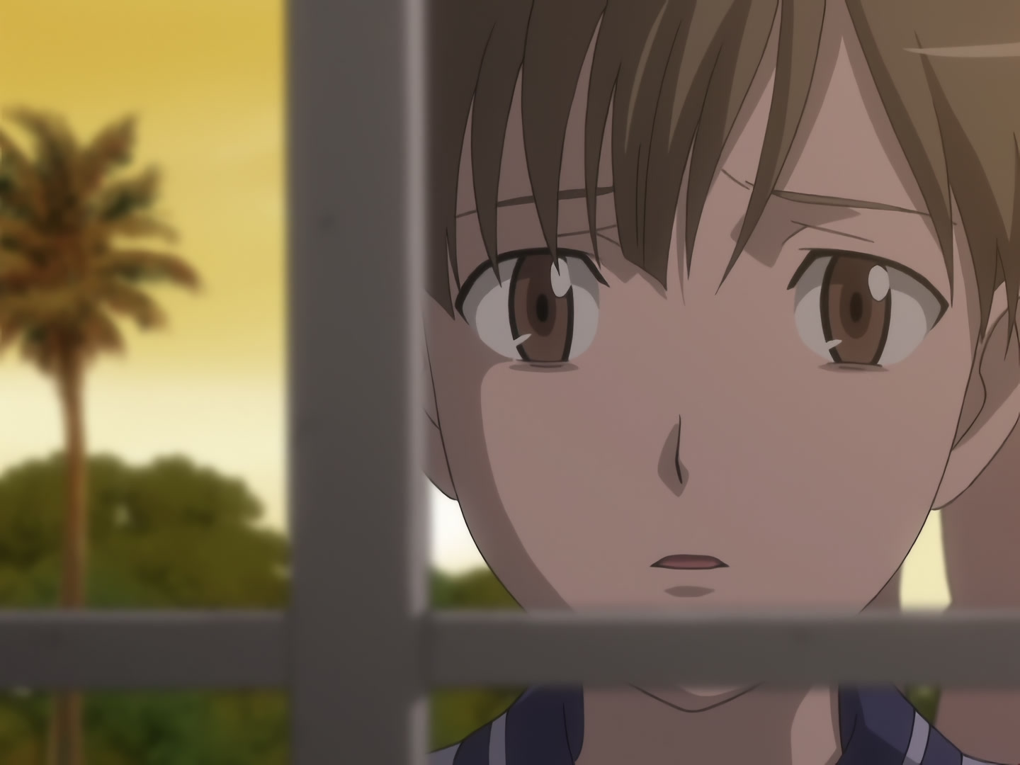 Blood+ Ep 13: Jungle Paradise @ 19:37