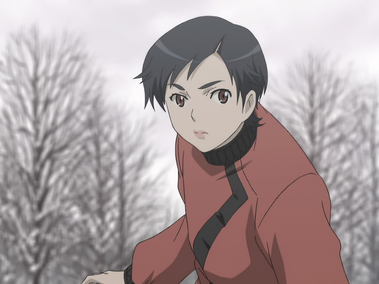 Blood+ Ep 17: Do You Remember the Promise? @ 14:47