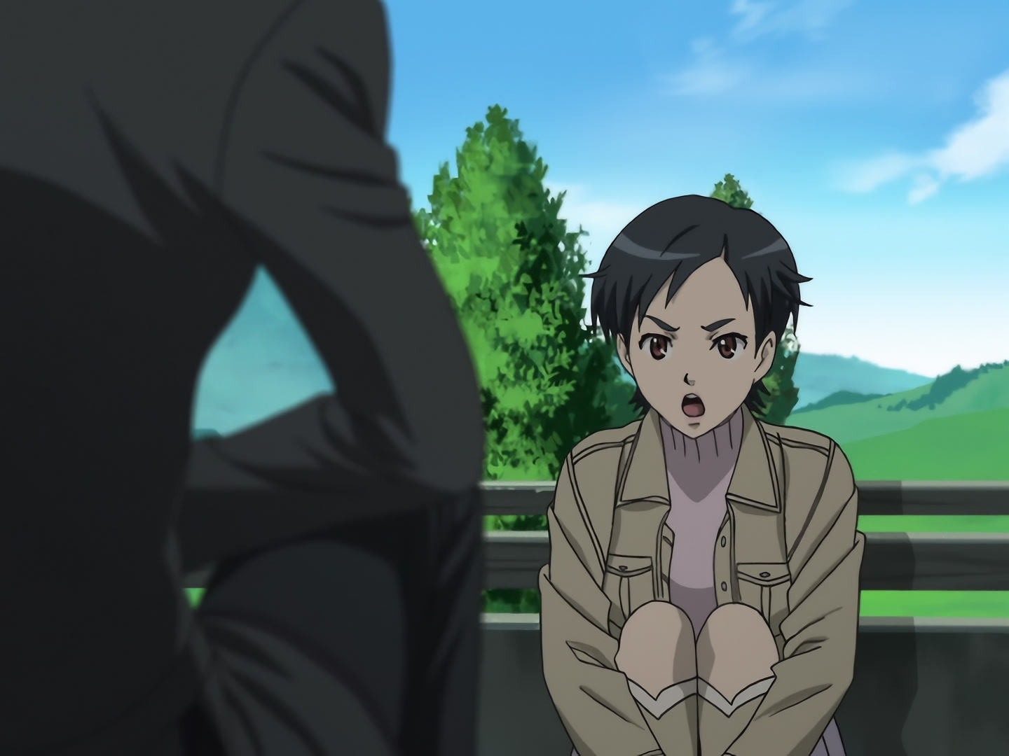 Blood+ Ep 20: Chevalier @ 08:02