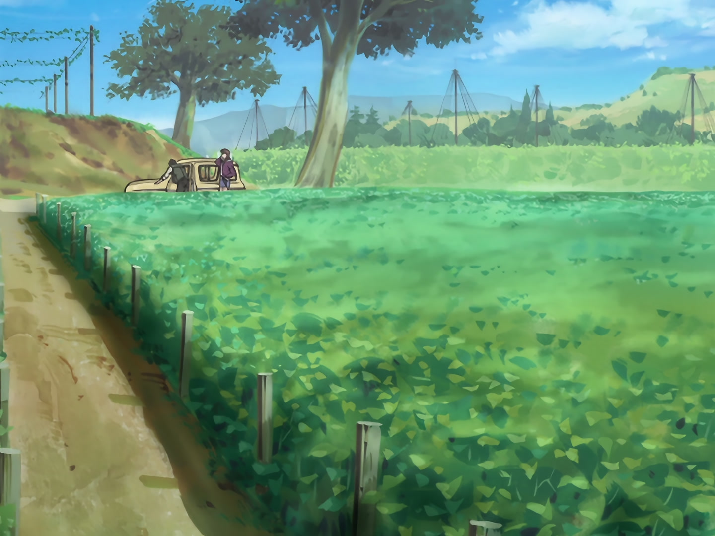 Blood+ Ep 21: Sour Grapes @ 04:30