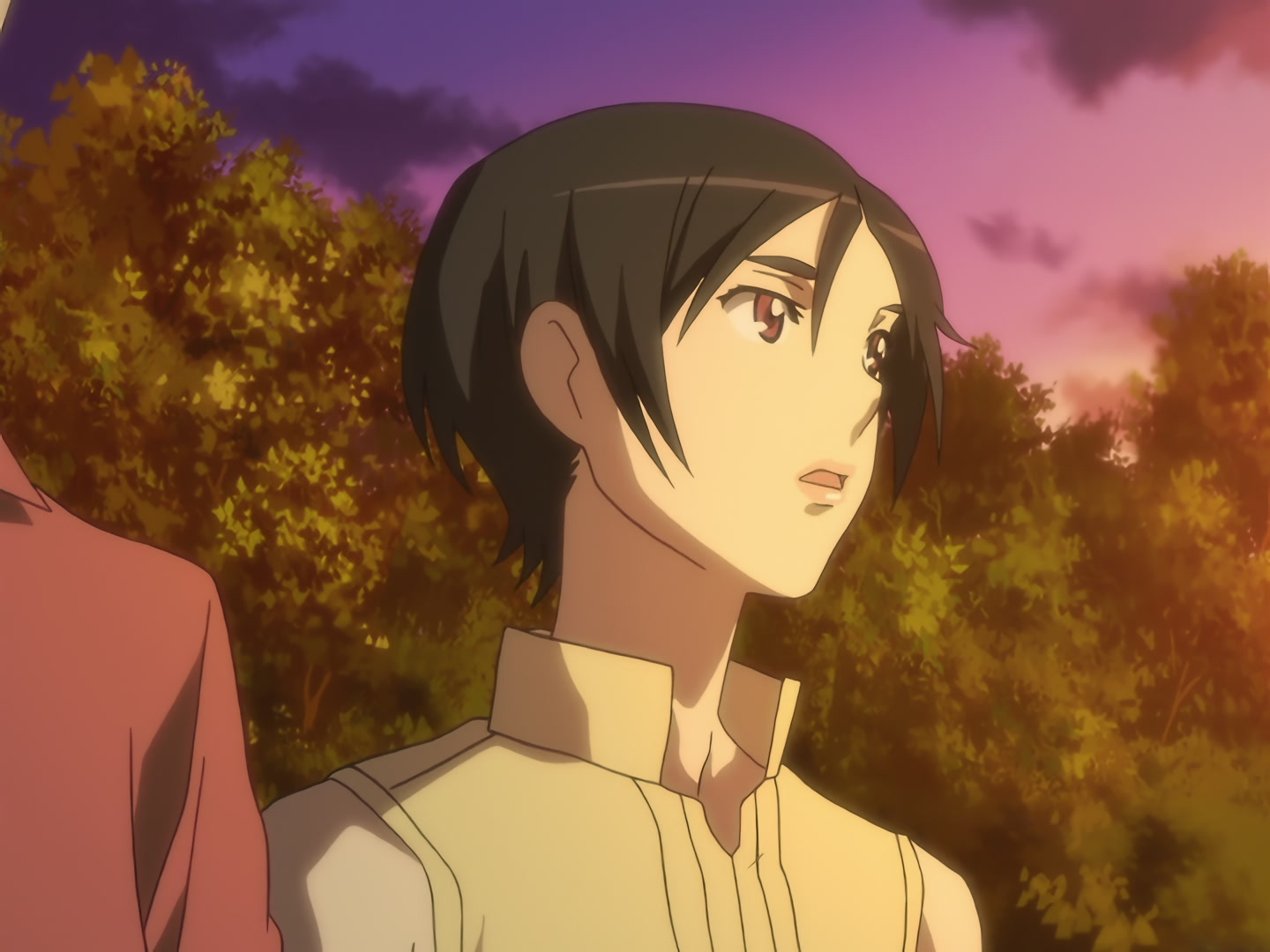 Blood+ Ep 39: Magic Words, Once More @ 19:45