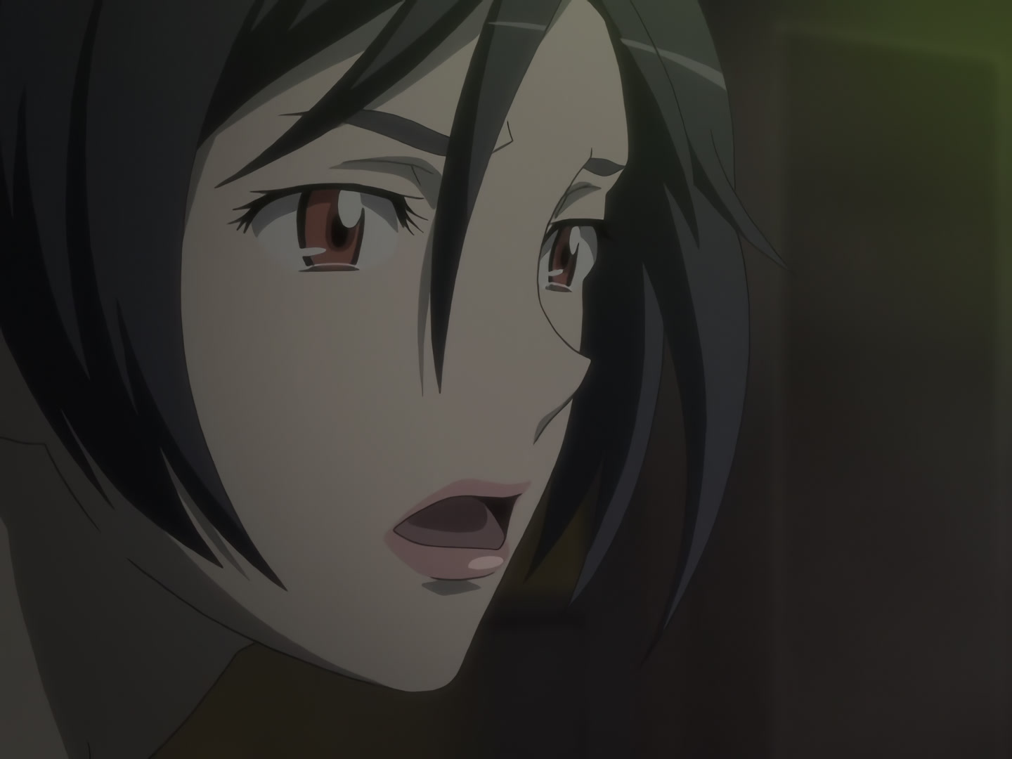 Blood+ Ep 50: Nankurunaisa @ 11:03
