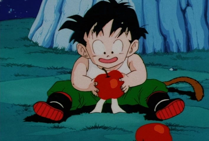 Dragon Ball Z — Ep 7: Dinosaur Survival! Gohan's Difficult Training @ 20:28