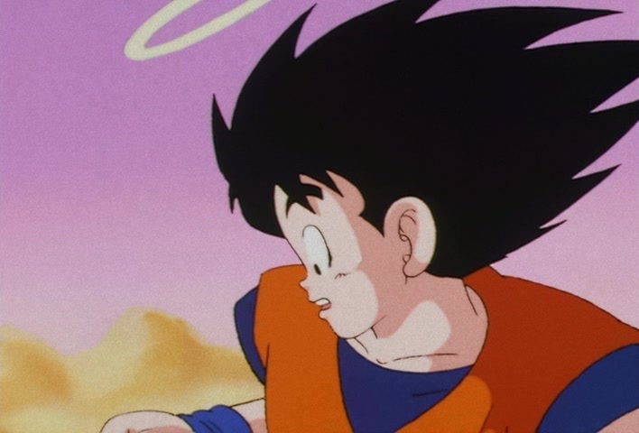 Dragon Ball Z — Ep 12: Catnap on the Serpent Road — Goku Takes a Tumble @ 10:14