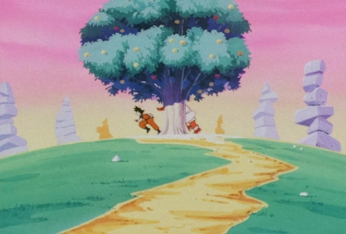 Dragon Ball Z — Ep 13: Hands Off! Enma-sama's Secret Fruit @ 19:34
