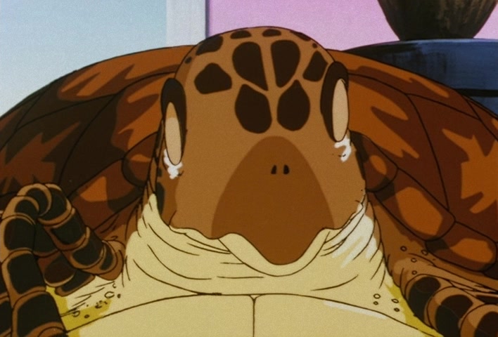 Dragon Ball Z Ep 117: You're My Guy… Kuririn — The 101st Proposal @ 06:39
