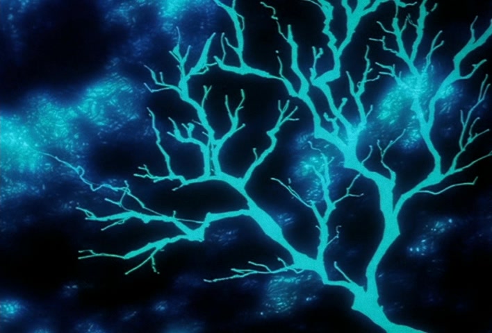 Dragon Ball Z Ep 129: The Might of Vegeta!! The Blood of a Super Saiyan Awakens @ 19:16